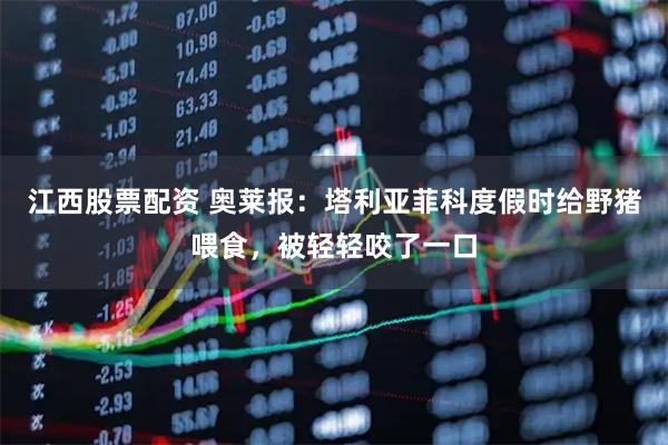 江西股票配资 奥莱报：塔利亚菲科度假时给野猪喂食，被轻轻咬了一口